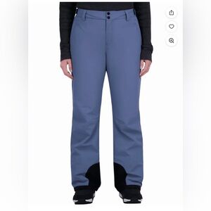 Roxy Blue Ski Pants